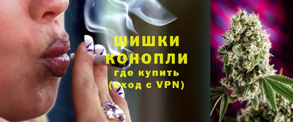 тгк Новодвинск