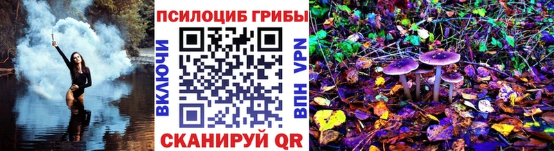 магазин продажи наркотиков  ссылка на мегу как войти  Галлюциногенные грибы мицелий  Людиново 