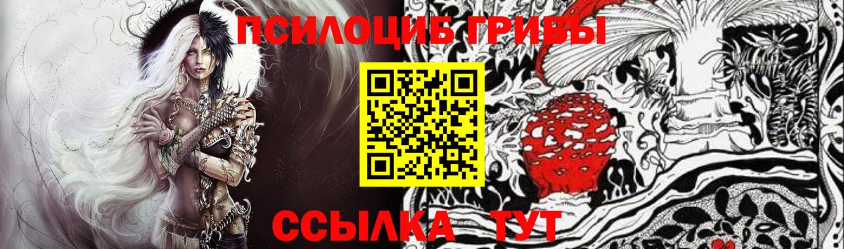 Галлюциногенные грибы Psilocybe Людиново